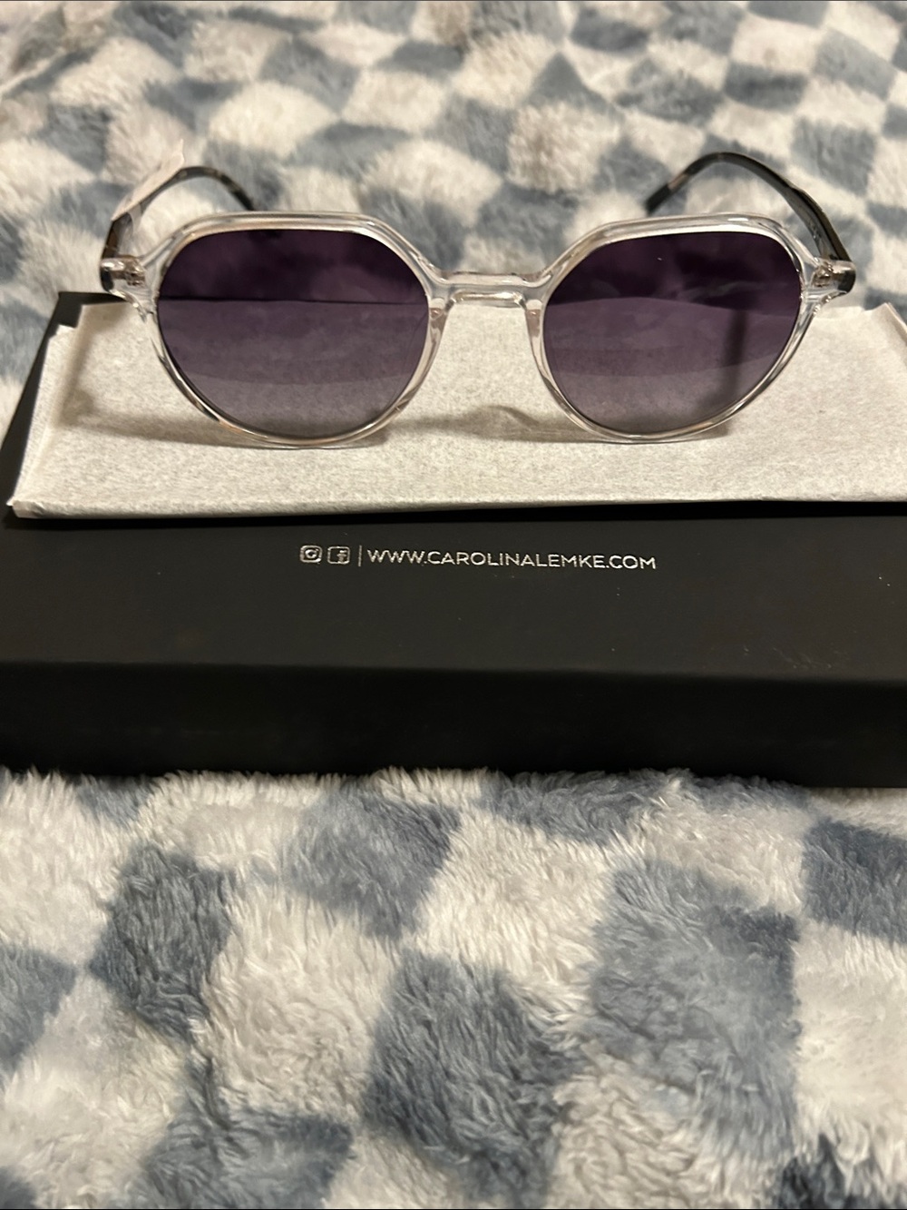Carolina Lemke clear frame sunglasses
